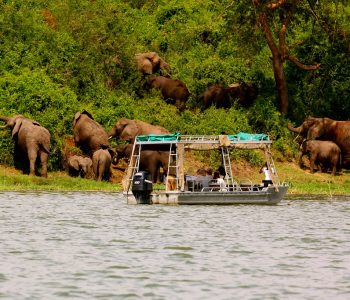 Mweya Lodge Mweya Lodge
