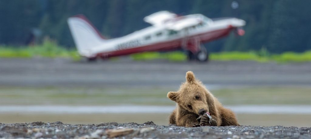 Alaska Bear Camp Bushplane
