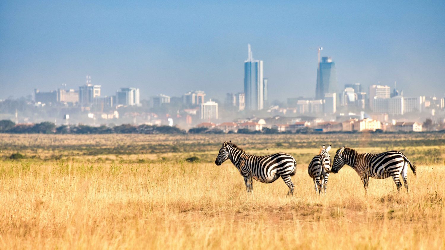 Nairobi, Fly in safari Masai Mara