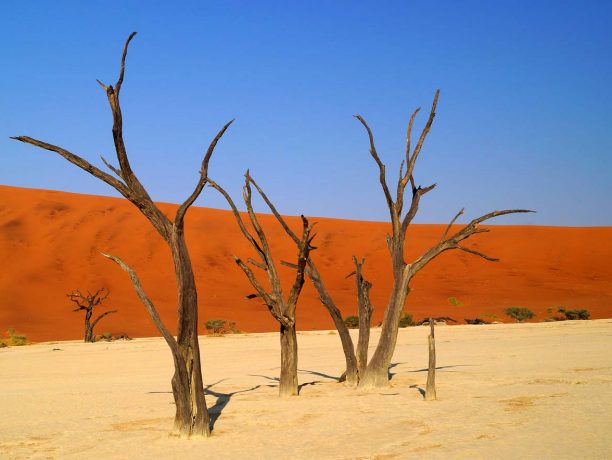 Sosusvlei, Namibië reizen