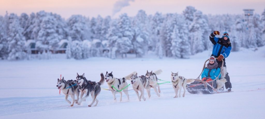 Huskysafari