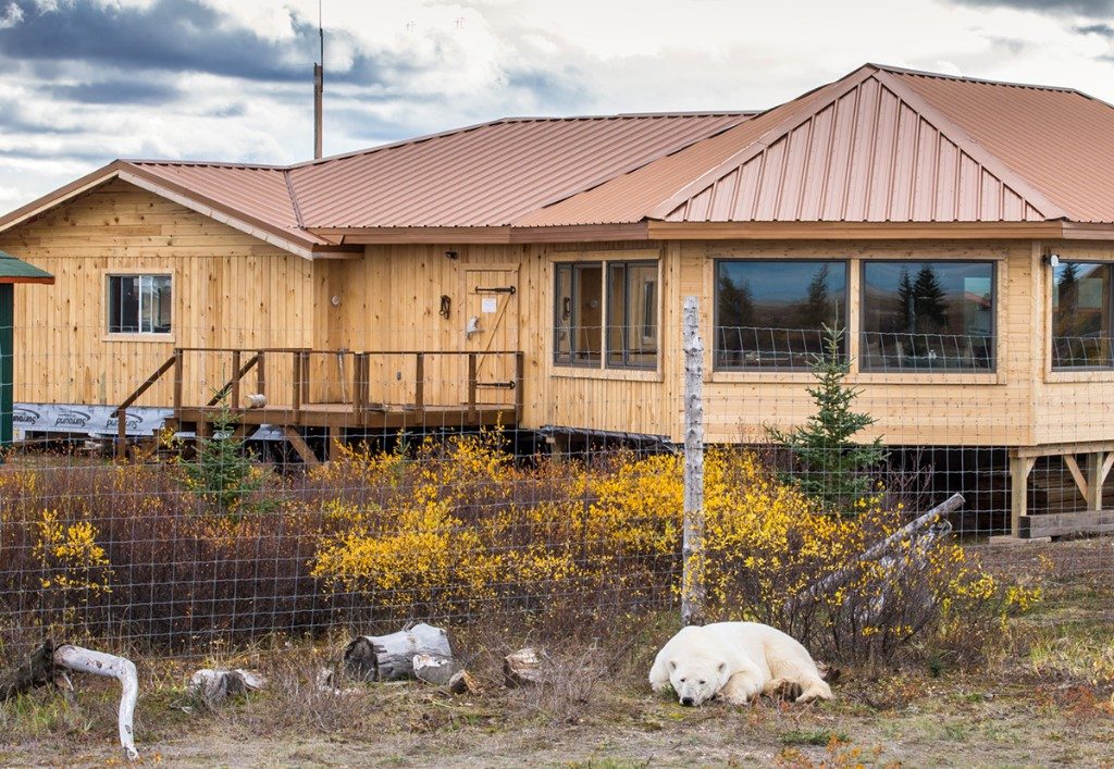 Nanuk Polar Bear Lodge