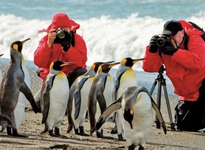 Natural Habitat, fotografie, pinguïns, Antarctica reizen