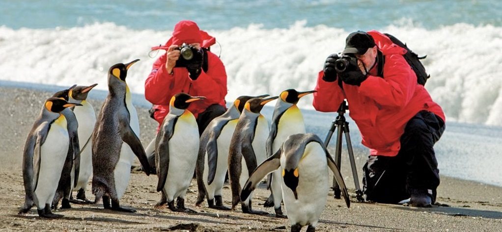 Natural Habitat, fotografie, pinguïns, Antarctica reizen