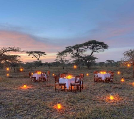 Ndutu Safari Lodge