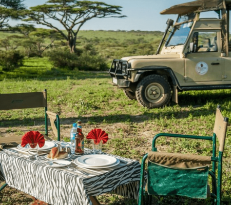 Game drive