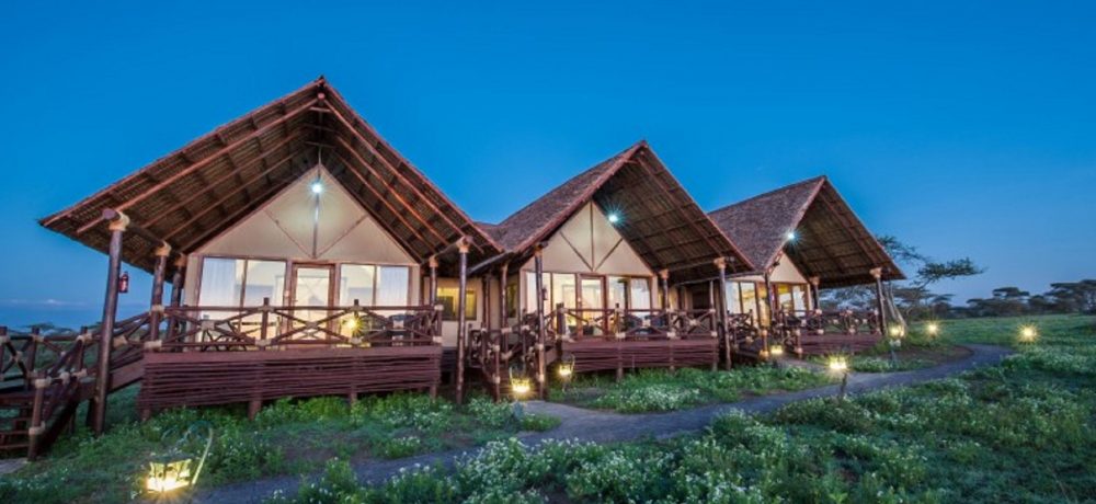 Lake Ndutu Luxury Tented Lodge, Wildebeest migratiereis en walvishaaien