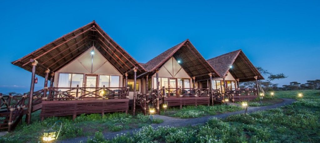 Lake Ndutu Luxury Tented Lodge, Wildebeest migratiereis en walvishaaien
