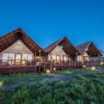 Lake Ndutu Luxury Tented Lodge, Wildebeest migratiereis en walvishaaien