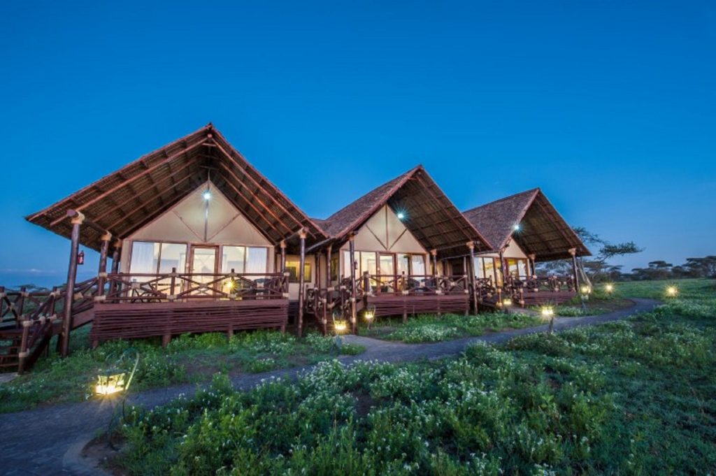 Lake Ndutu Luxury Tented Lodge, Wildebeest migratiereis en walvishaaien