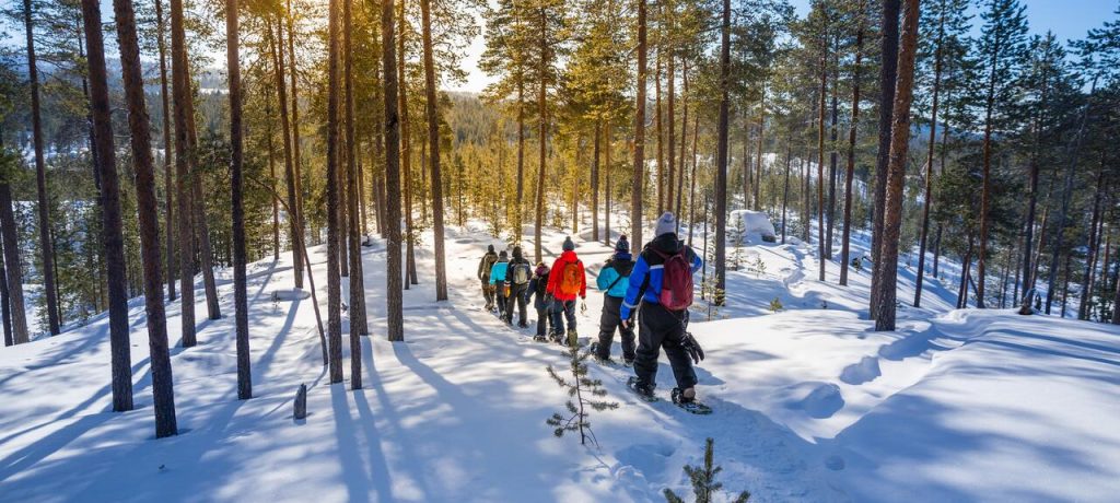 Nellim Wilderness