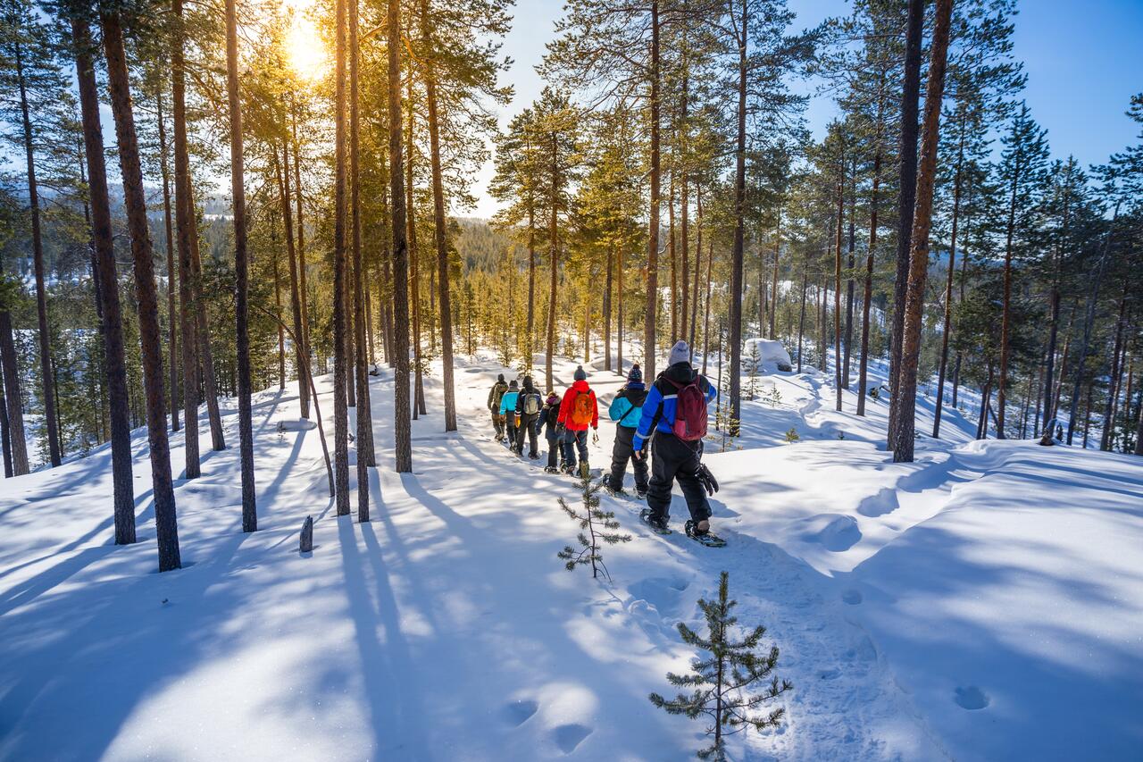 Nellim Wilderness