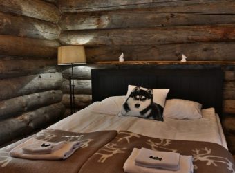 Arctic Log Cabin