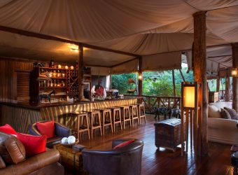 Zebra Bar