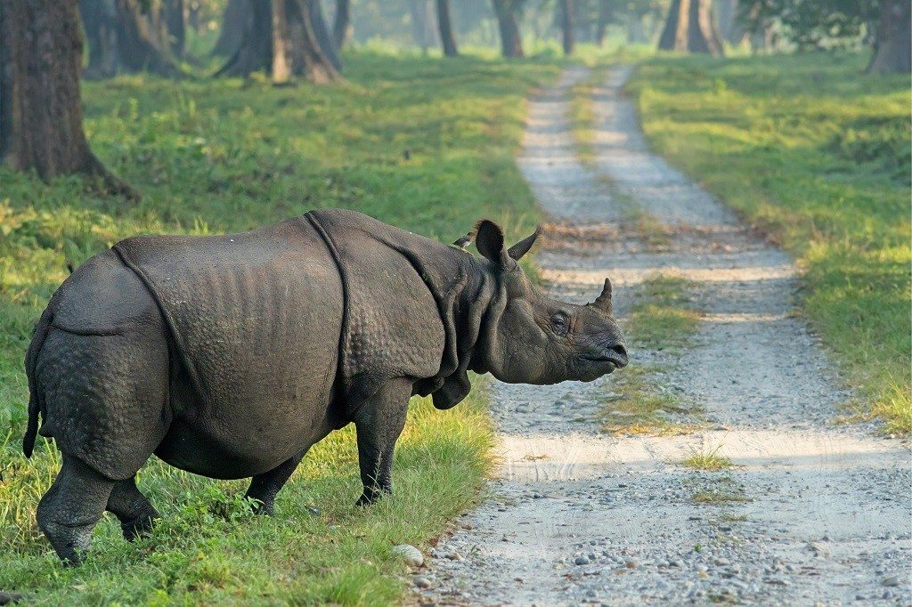 Rondreis Natuur Nepal