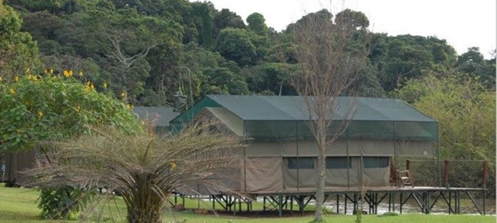 Ngamba Island Tented Camp