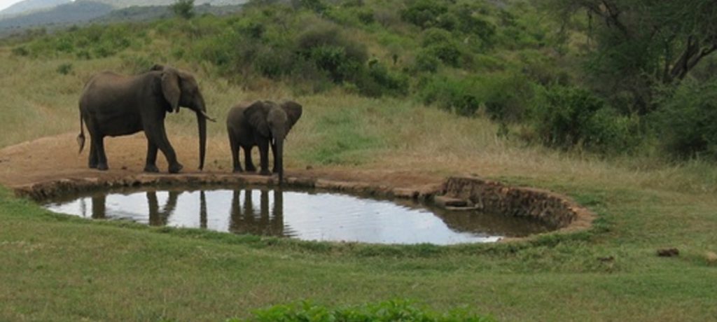 Ngulia Safari Lodge