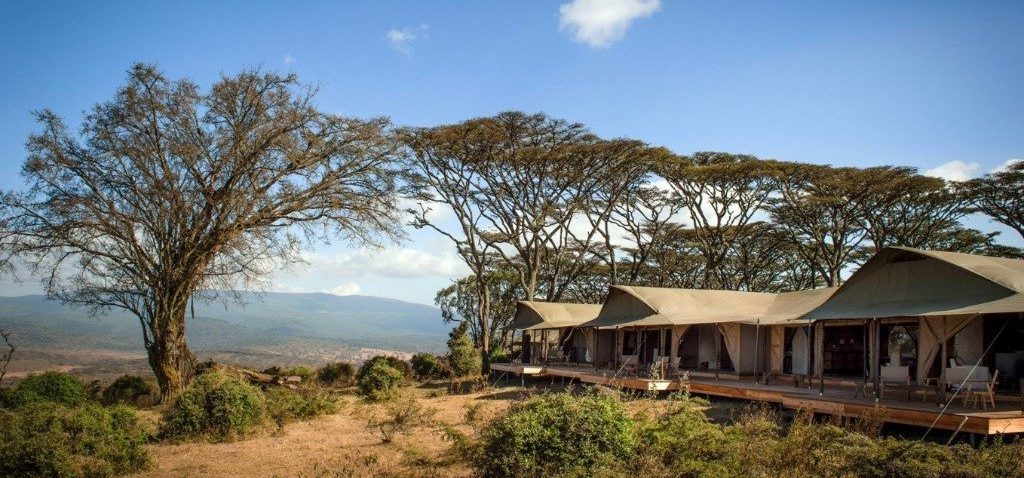 Nomad Entamanu Ngorongoro