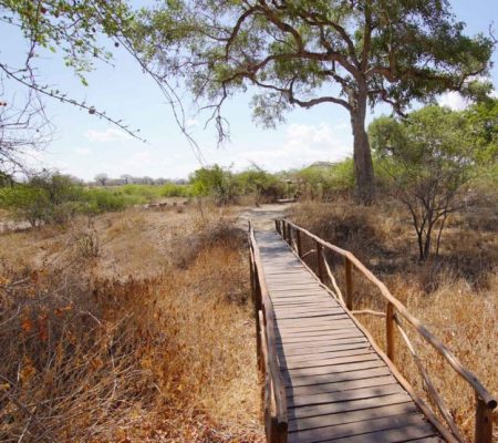 Wandelsafari