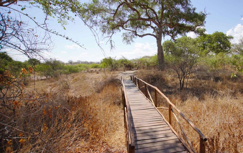Wandelsafari
