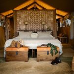 Standaard tent Nomad Serengeti Safari Camp
