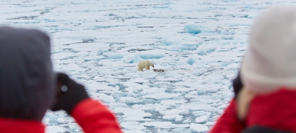 IJsbeer, Noord Spitsbergen, Poolgebieden - Oceanwide