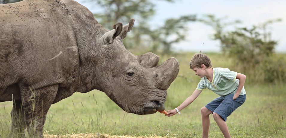 Ol Pejeta Bushcamp, Schoolvakantie 2023