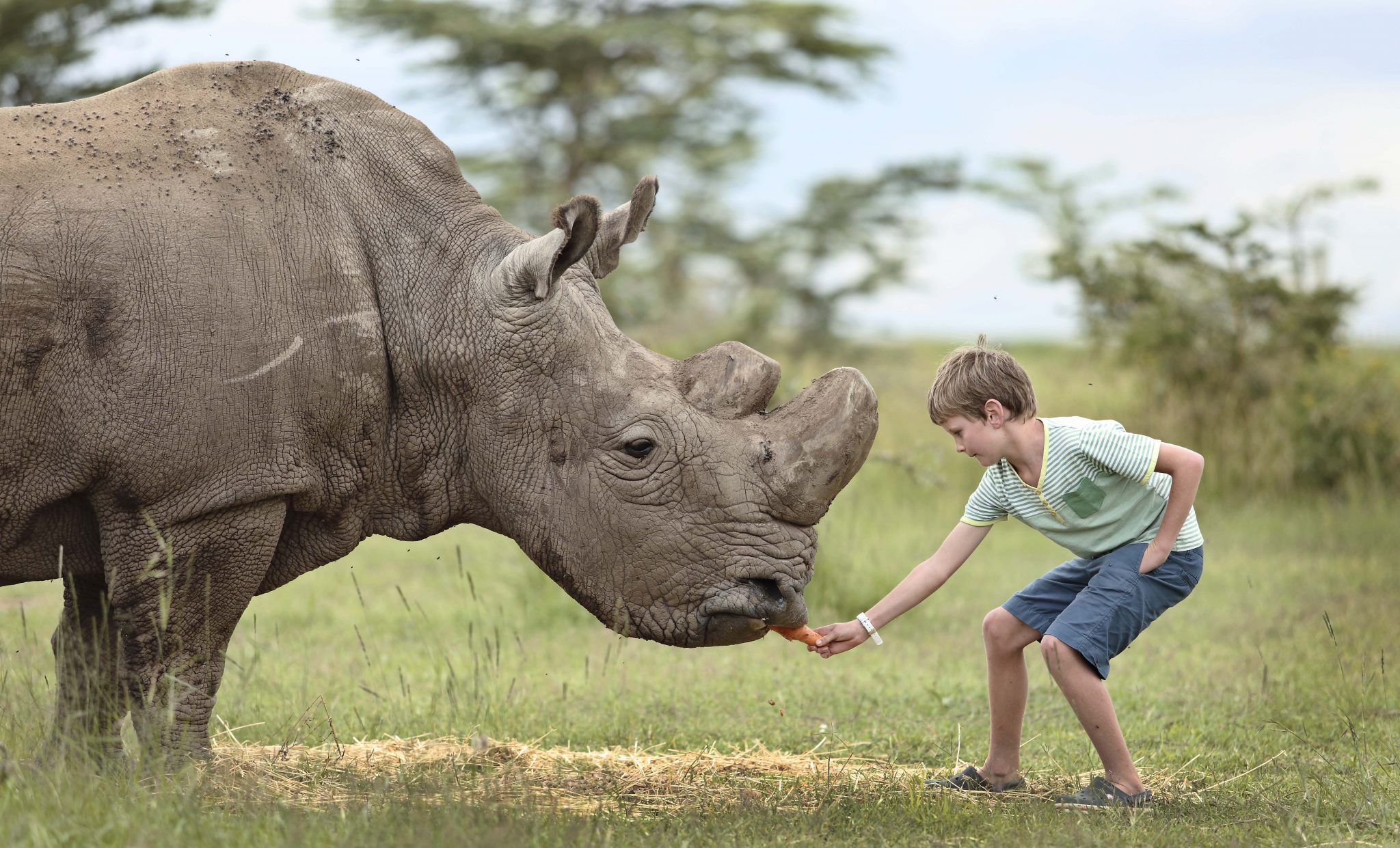 Ol Pejeta Bushcamp, Schoolvakantie 2023