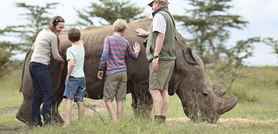 Ol Pejeta Bushcamp