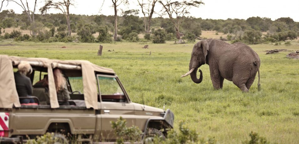 Ol Pejeta Bushcamp