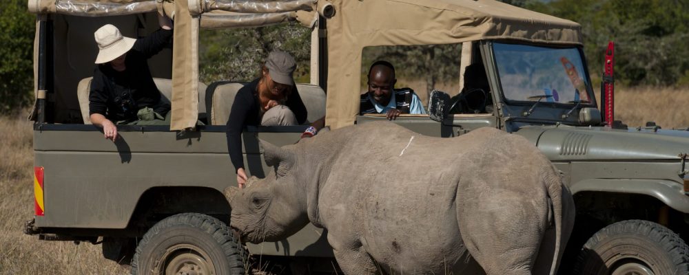 Ol Pejeta Bushcamp, Veel gestelde vragen over Kenia