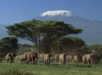 Amboseli