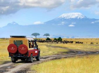 Game drive