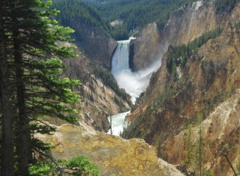 Yellowstone park