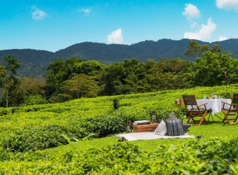 One & Only Nyungwe House