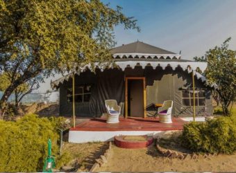 Terras, Orchard Tents & Tranquility