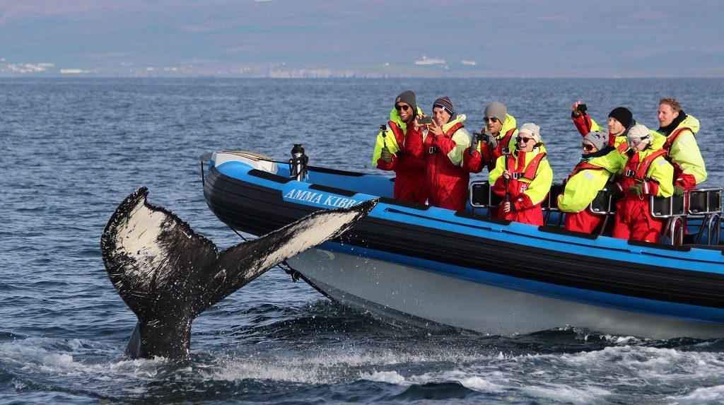 Kleding walvis spotten