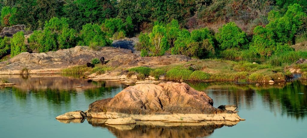 Panna National park, Centraal India