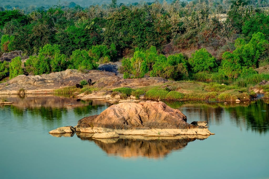 Panna National park, Centraal India