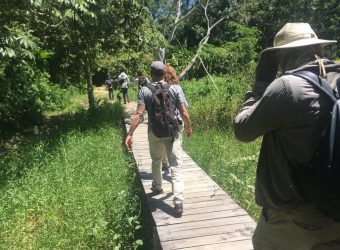 Wandeling Pantanal