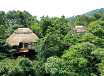 Papaya Lake Lodge