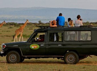 Game Drive