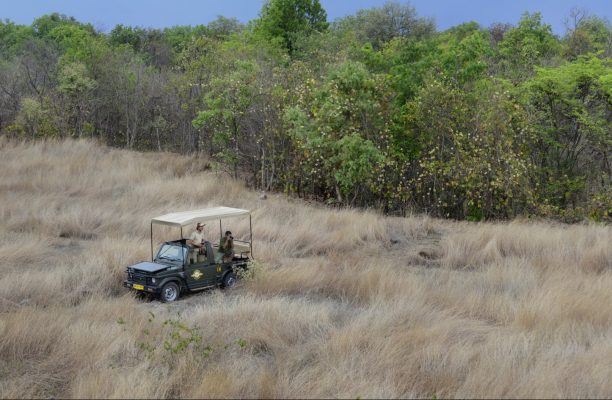 Game drive