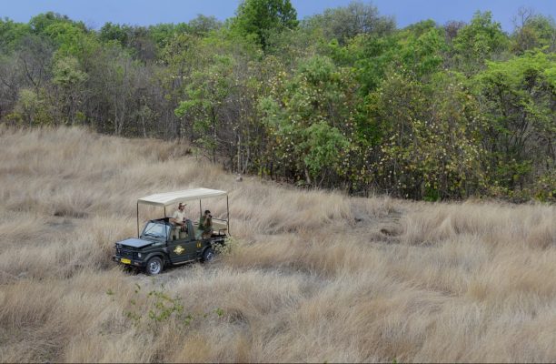 Pench Tree Lodge