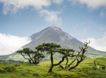 Pico, Azoren - Shutterstock