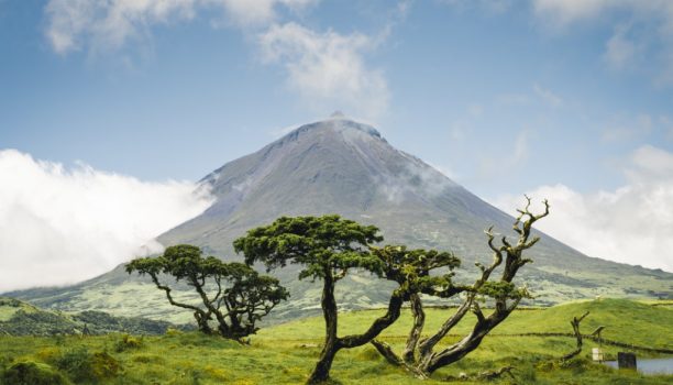 Pico, Azoren - Shutterstock