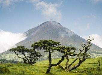 Pico, Azoren - Shutterstock