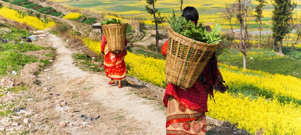 Cultuur, Pokhara, Nepal - Shutterstock