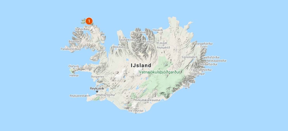 Poolvos IJsland