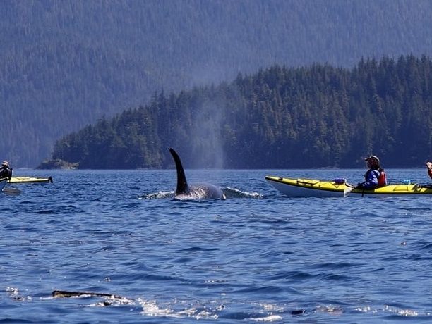 Orca Camp Vancouver Island